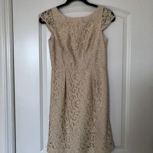 Petite Elsa Dress in Leavers Lace